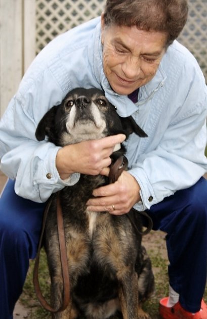 Bild: Der Freund: der Hund