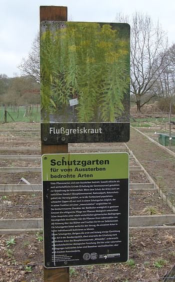Bild: Besuch in Dessau