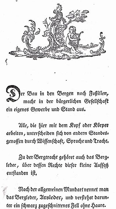 Bild: Das Arschleder