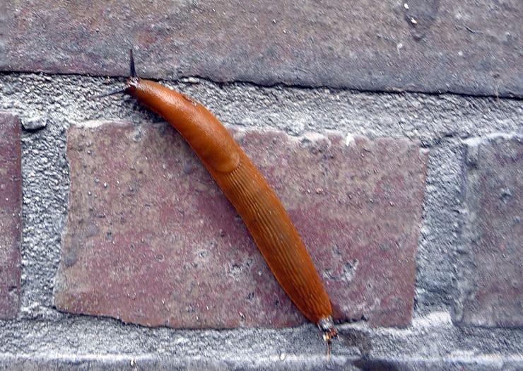 Wer kennt sich aus? (Foto: privat)