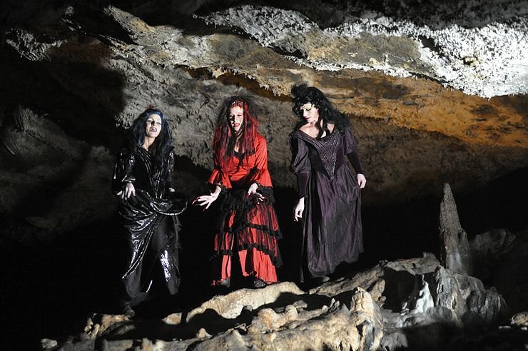 Dracula erwacht (Foto: privat)