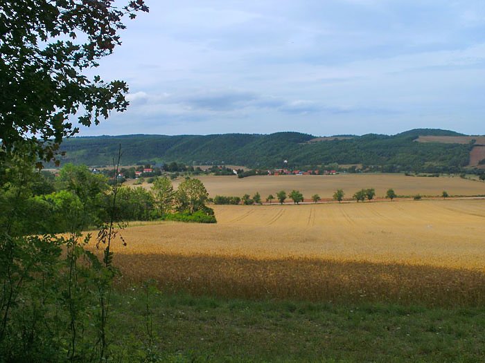 Waldpädagogisches Handbuch (Foto: Stadtjugendring Sondershausen) Waldpädagogisches Handbuch (Foto: Stadtjugendring Sondershausen)