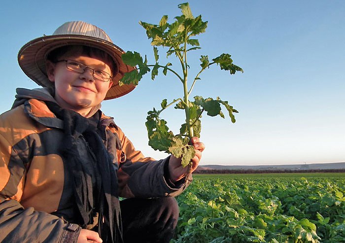 Es bleibt sehr warm? (Foto: J&uuml;rgen K&ouml;nig)