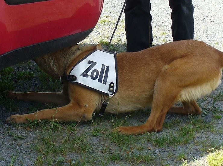 Alice (Foto: Zoll)