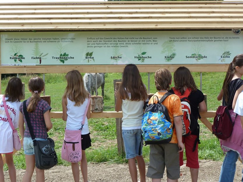 Die Wisentroute (Foto: privat)