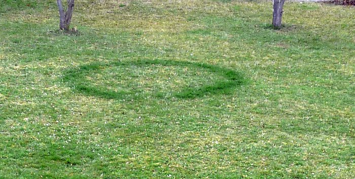 Sehr seltsam (2) (Foto: Karl-Heinz Herrmann)