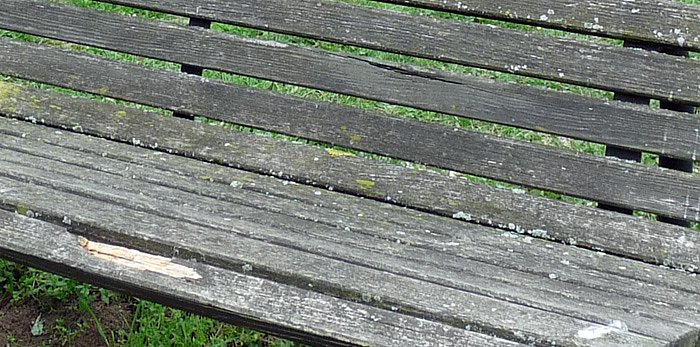 Lauschiges Pl&auml;tzchen? (Foto: Karl-Heinz Herrmann)