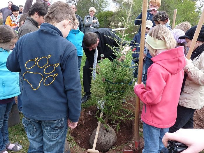 Baum des Jahres gepflanzt (Foto: Karl-Heinz Herrmann) Baum des Jahres gepflanzt (Foto: Karl-Heinz Herrmann)