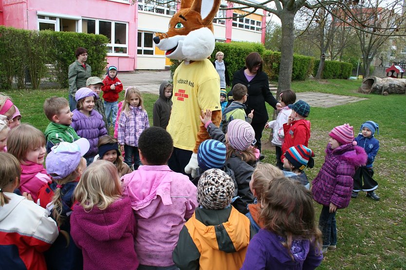 Fuchs in der Kita (Foto: privat)