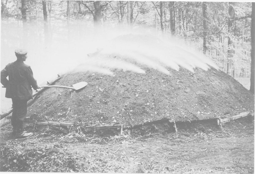 K&ouml;hler im Harz (Foto: Ibe)