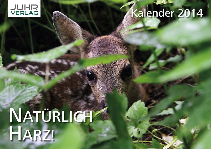 Kalender (Foto: privat)