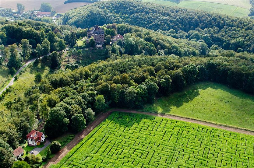 Maislabyrinth (Foto: Anett Reyer-G&uuml;nther)
