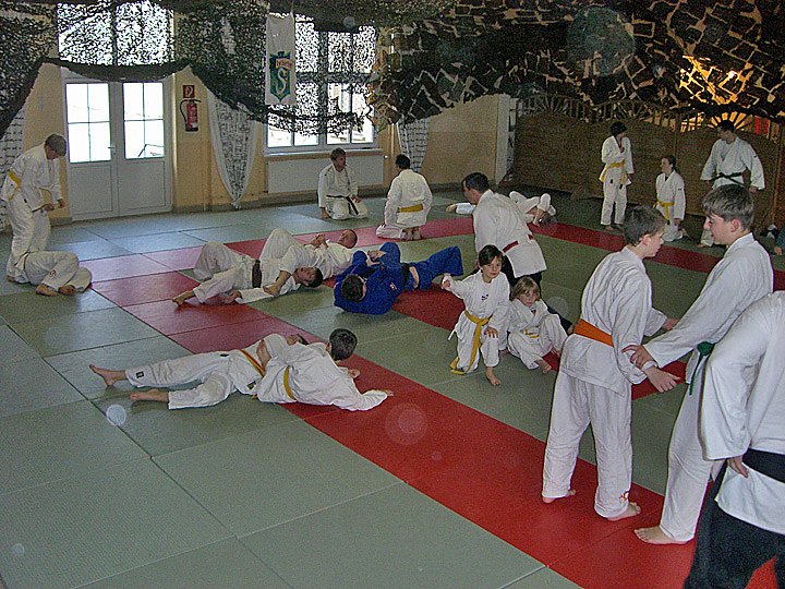 Ehrenspange vom Landessportbund (Foto: Kampfkunstschule Artern)