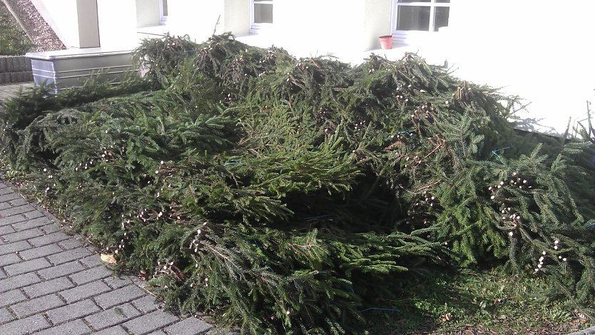 Reisig wird verkauft (Foto: Forstamt)