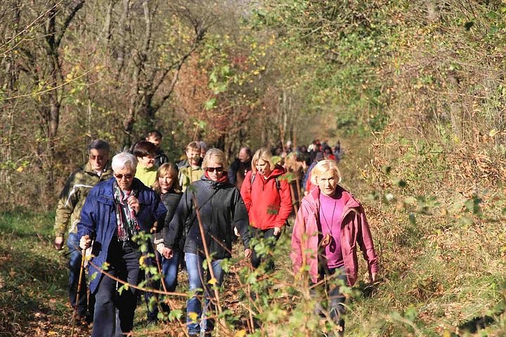 Reformationstags-Wanderung (Foto: B. Wollweber)