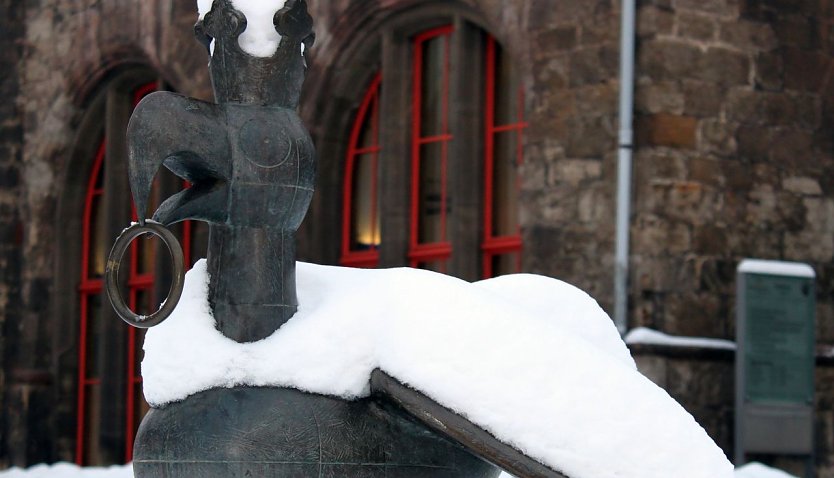Der Aar mit Schneehaube (Foto: J. Piper)