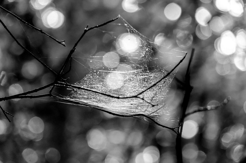 Wetter-Bild (Foto: Gernot Thelemann)