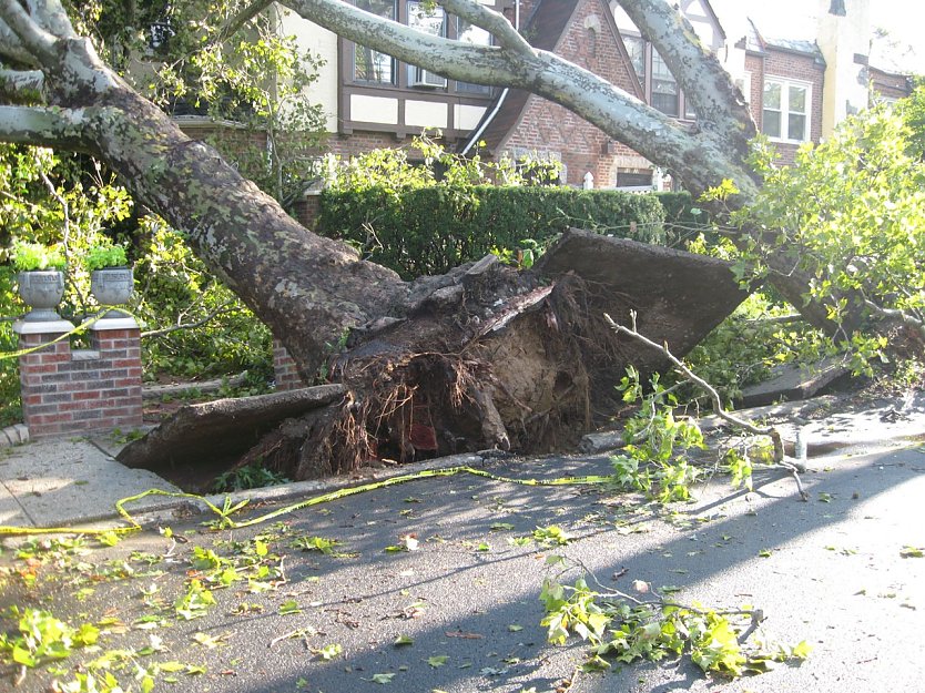 Tornado (Foto: http://www.publicdomainpictures.net/view-image.php?image=9180)