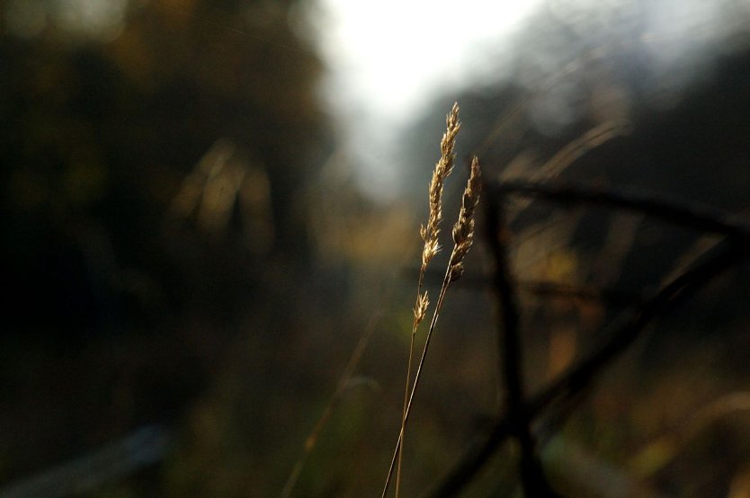 Wetterbild (Foto: Gernot Thelemann)