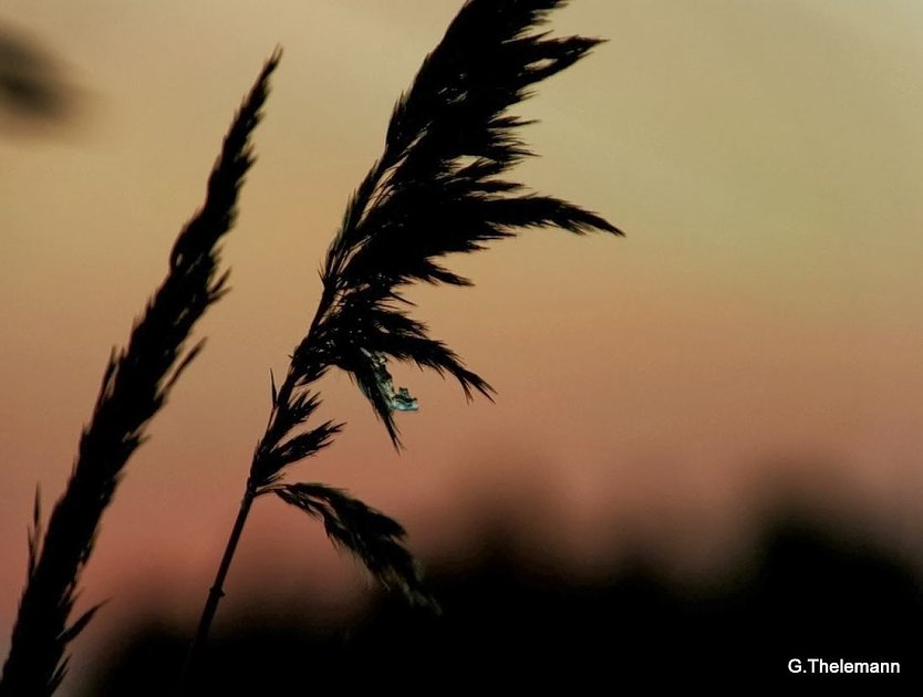 Wetter-Bild (Foto: Gernot Thelemann)