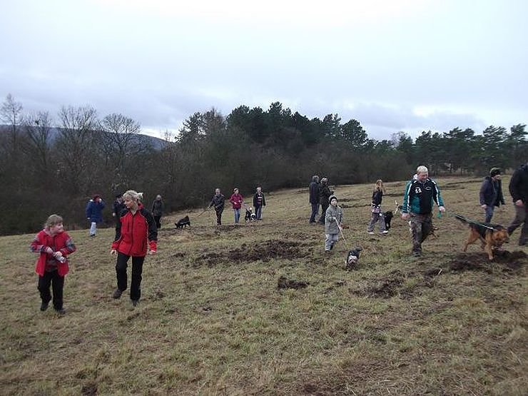 4-Pfoten Hundeclub aktiv (Foto: Olivia Heinzel)