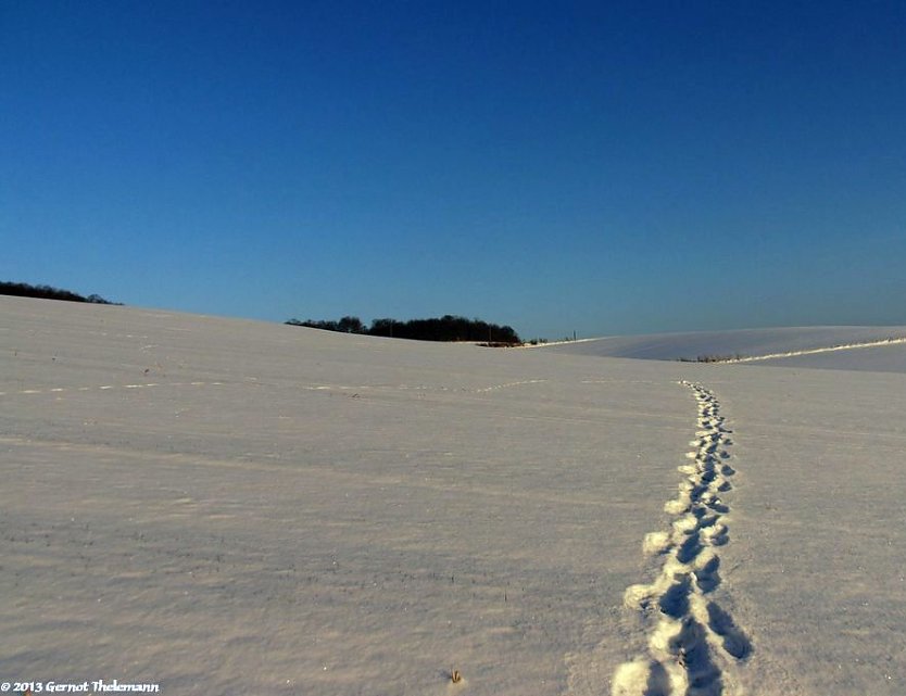 Wetter-Bild (Foto: Gernot Thelemann)