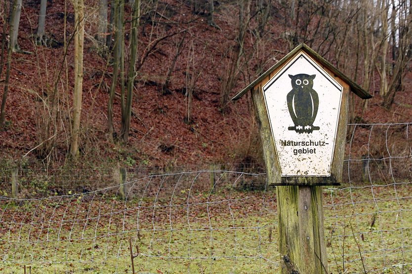Naturschutzgebiet (Foto: Grüne) Naturschutzgebiet (Foto: Grüne)