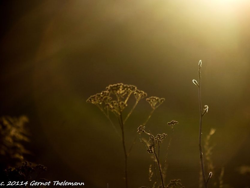 Wetter-Bild (Foto: Gernot Thelemann)