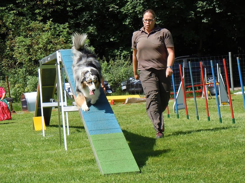 Toller Hundesport in Herreden (Foto: privat)
