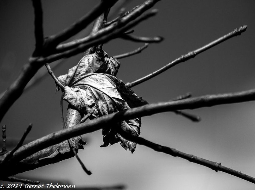 Wetter-Bild (Foto: Gernot Thelemann)