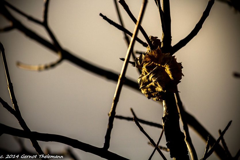 Wetter-Bild (Foto: Gernot Thelemann)