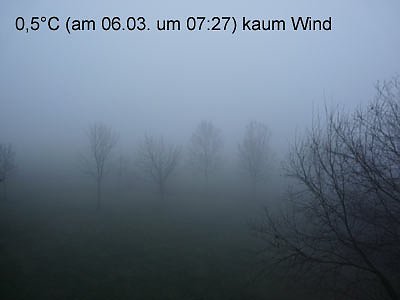Ja ist denn schon Herbst? (Foto: privat) Ja ist denn schon Herbst? (Foto: privat)