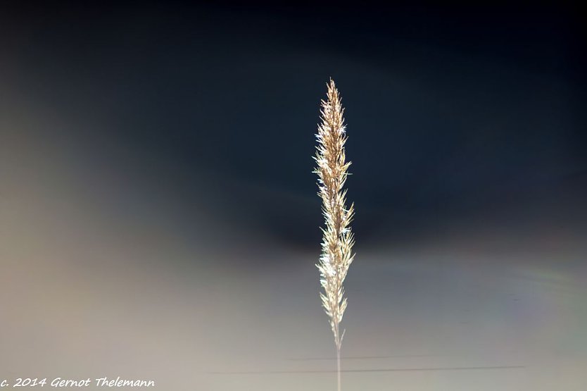Wetter-Bild (Foto: Gernot Thelemann)