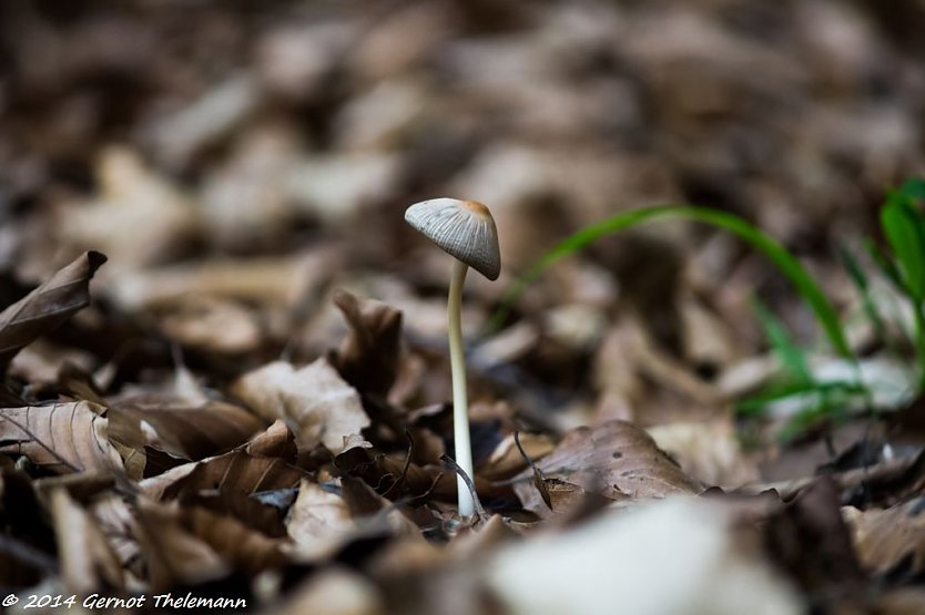 Wetter-Bild (Foto: Gernot Thelemann)