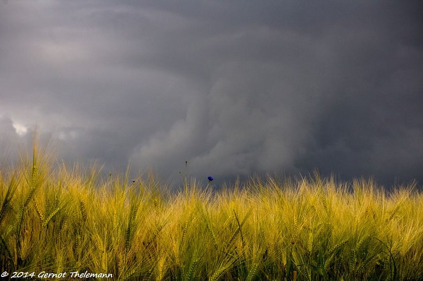 Wetterbild (Foto: Gernot Thelemann)