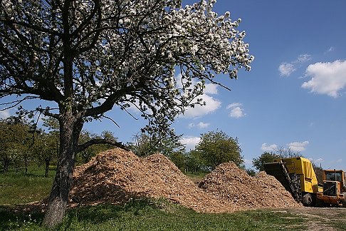 Energieautark in die Zukunft (Foto: Naturschutzprojekt Hohe Schrecke) Energieautark in die Zukunft (Foto: Naturschutzprojekt Hohe Schrecke)