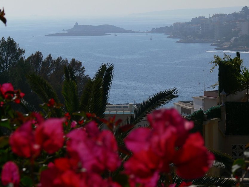 Unterwegs auf Mallorca (Foto: privat)