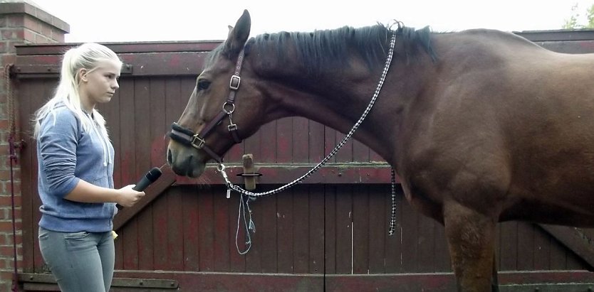 Interview mit einem Pferd (Foto: OKN/S. Witzel)