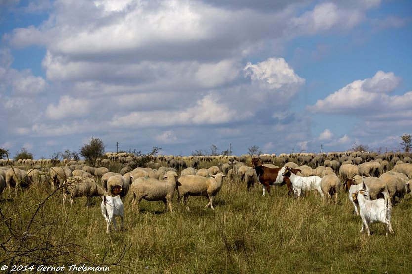 Wetter-Bild (Foto: Gernot Thelemann)