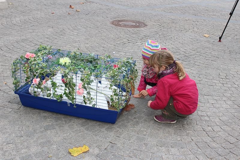 Fest der Demokratie gestartet (Foto: Karl-Heinz Herrmann)