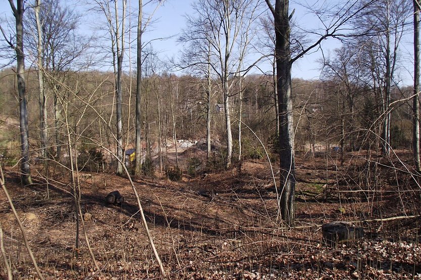 Das Gehege im Fr&uuml;hjahr 2013 (Foto: nnz)