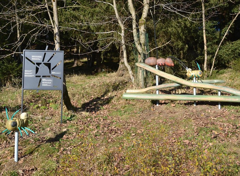 Erlebnisinsel (Foto: Harzer Tourismusverband) Erlebnisinsel (Foto: Harzer Tourismusverband)