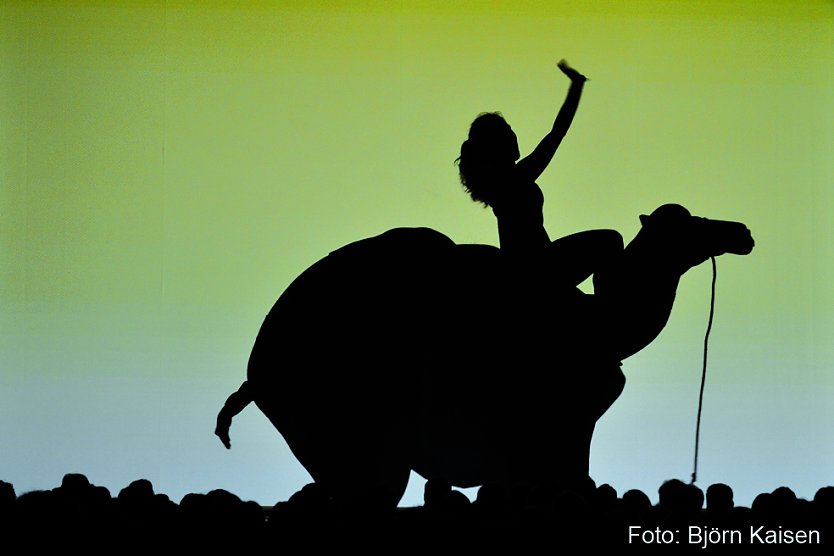 Amazing Shadows - nur mit ihren K&ouml;rpern formen die amerikanischen K&uuml;nstler fantastische Schattenfiguren (Foto: Catapult Entertainment)