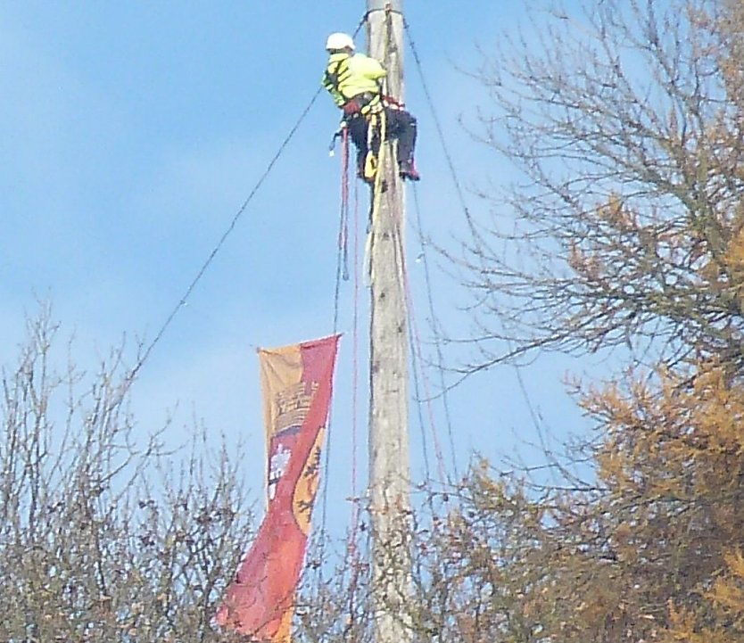 Wetterfahne auf dem Herzberg (Foto: Harzklubzweigverein Ilfeld Wiegersdorf)