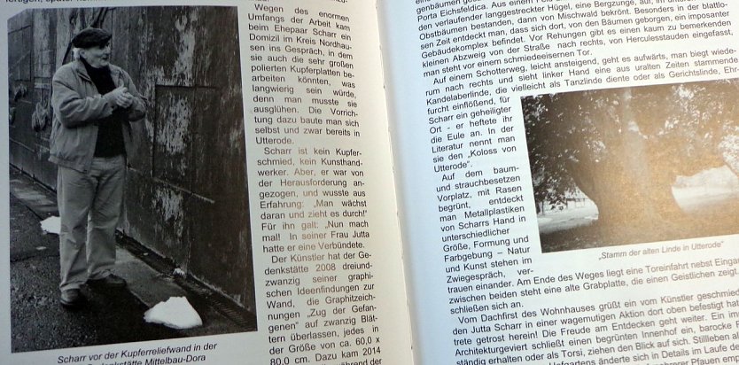 Die Gelbe Reihe (Foto: Hans-Georg Backhaus)