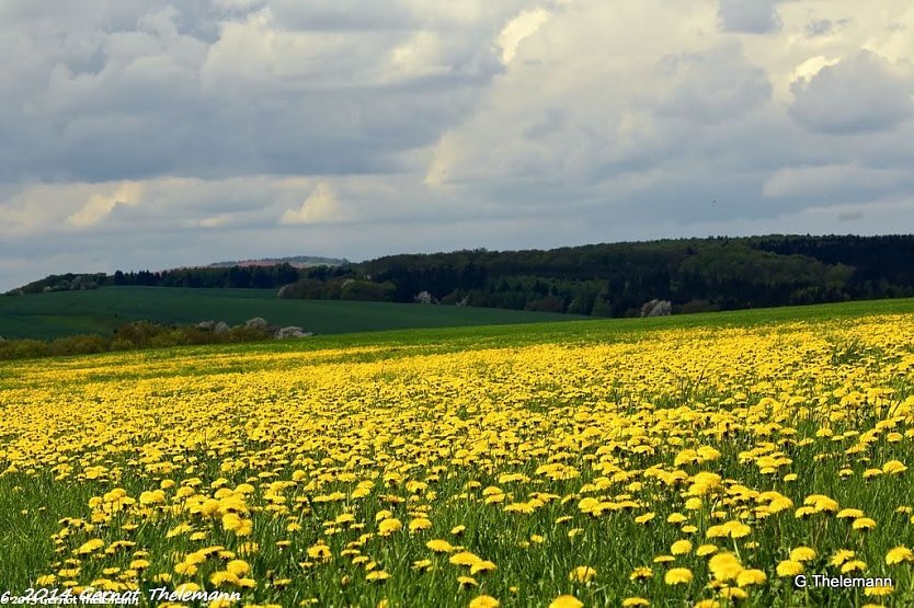 Wetterbild (Foto: Gernot Thelemann) Wetterbild (Foto: Gernot Thelemann)