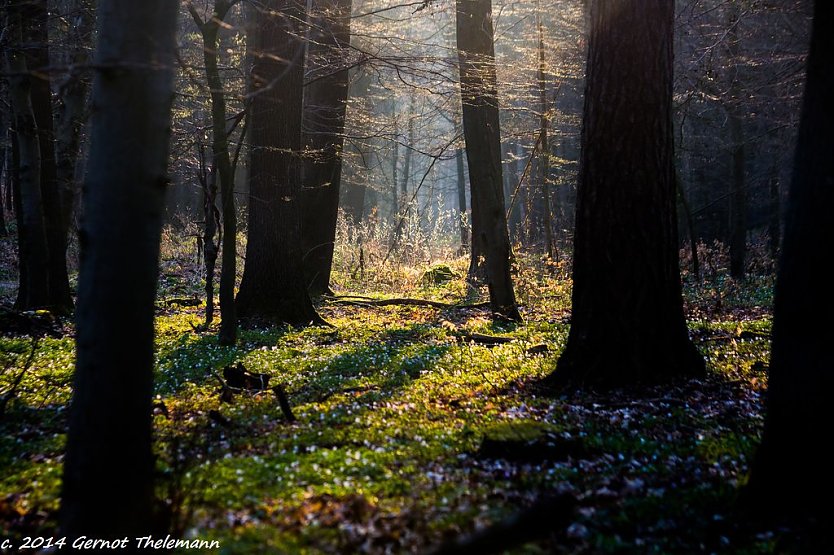 Wetterbild (Foto: Gernot Thelemann)
