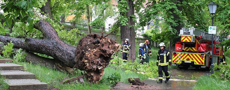 Feuerwehreinsatz (Foto: Feuerwehr Heiligenstadt) Feuerwehreinsatz (Foto: Feuerwehr Heiligenstadt)