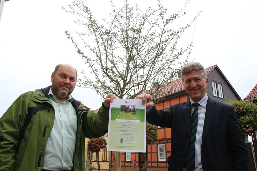 Max Wille schenkt seinem Salza einen Rotdorn-Baum (Foto: Patrick Grabe, Pressestelle Stadt Nordhausen)