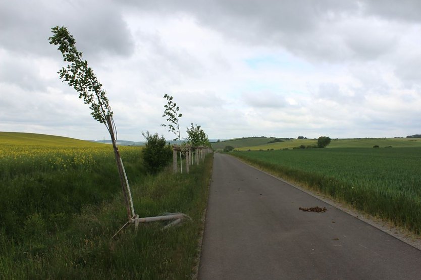 Vandalismus am Radweg? (Foto: Karl-Heinz Herrmann)
